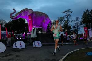 BIB: 
                            <button type="button" onclick="openModal(26529725)" class="btn btn-primary btn-sm float-right btn-popup" data-toggle="modal" data-target=".modal-high-quality">
                        <i class="fas fa-shopping-cart"></i> Add to Cart
                    </button>
                                            <button type="button" onclick="isThisMe(26529725, true)" class="btn btn-success btn-sm float-right btn-popup btn-isme hidden" data-toggle="tooltip" data-placement="bottom" title="นี่คือรูปของคุณใช่ไหม คลิกที่นี่เพื่อเอาเข้าอัลบั้ม">
                        <i class="fas fa-plus"></i> Add to album
                    </button>
                    <button type="button" onclick="isThisMe(26529725, false)" class="btn btn-warning btn-sm float-right btn-popup btn-isnotme hidden">
                        <i class="fas fa-ban"></i> Remove from album
                    </button>